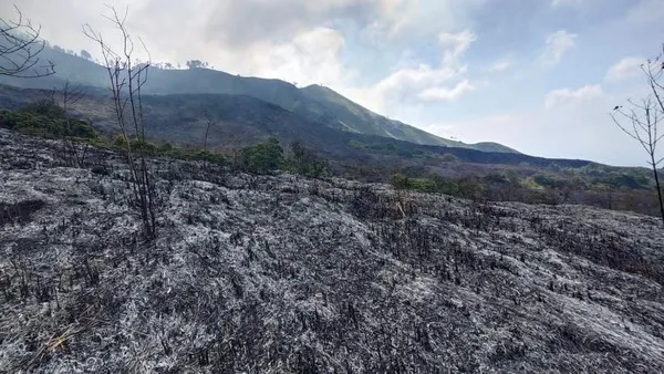 Kebakaran Hutan di Gunung Arjuno dan Welirang, Berimbas Penutupan Empat Jalur Pendakian