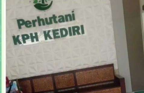 Diduga Galian C Telah Rugikan Negara Perhutani Kediri Tidak Mau Beresiko Lemparkan Masalah PPKH ke Dinas Kehutanan