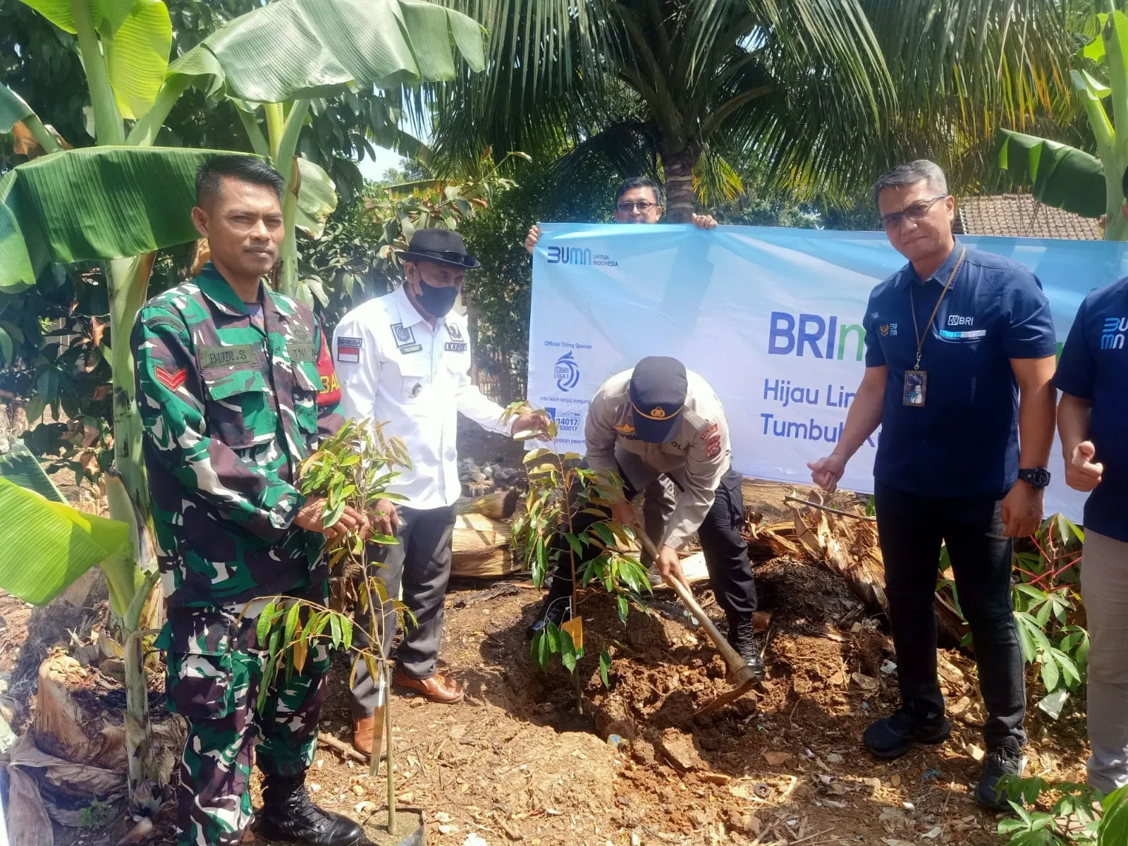 BRI Unit Cibaliung Kantor Cabang Labuan Laksanakan Program Menanam Bibit Pohon Durian di Dua Desa, Desa Cimanggu dan Desa Ranca Pinang