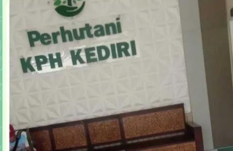 Terkait PPKH Ijin Tambang Perhutani Kediri Terkesan Tertutup Hindari Wartawan Yang Mau Konfirmasi