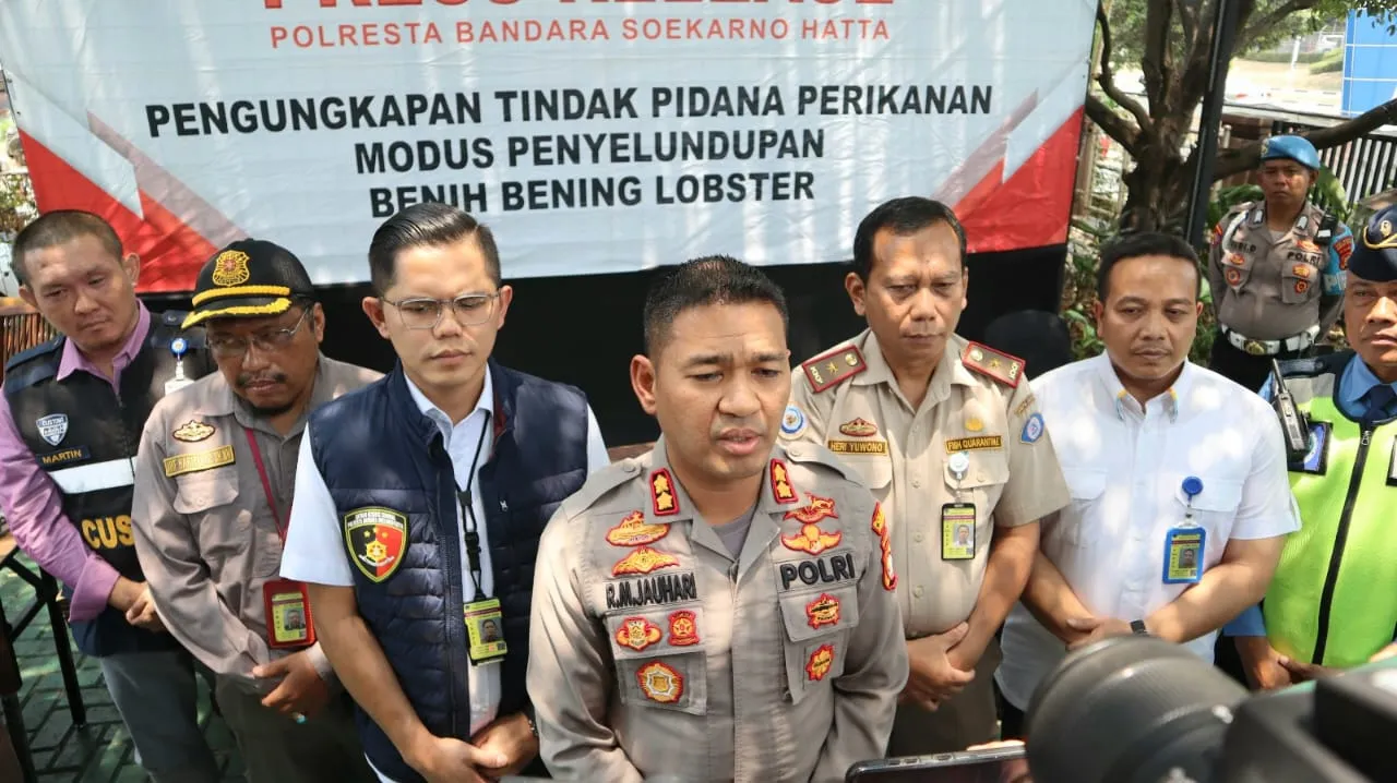 Polresta Bandara Soekarno-Hatta Berhasil Gagalkan Penyelundupan Benih Lobster Tujuan Singapura 