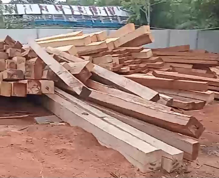 Diduga Keras Serkel Penggergajian Kayu Milik S.I Tampung Kayu Ilegal