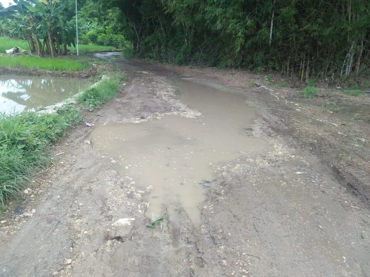 Jalan Rusak Parah Warga Dusun Lembung Merasa di Anak Tirikan