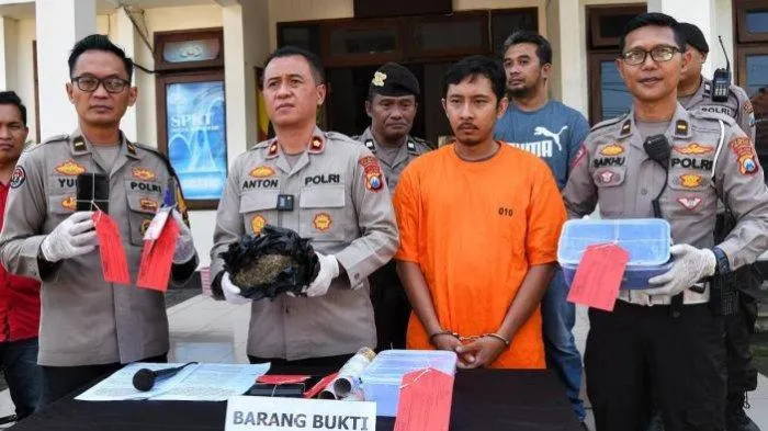Polsek Lowokwaru Berhasil Menangkap Pengedar Ganja Seberat 2 Kilogram