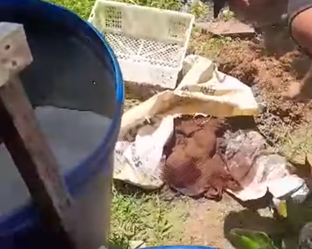 Viral Di Medsos Penemuan Bayi Hebohkan Warga Seponti, Polres Kayong Utara Berhasil Amankan Terduga Pelaku