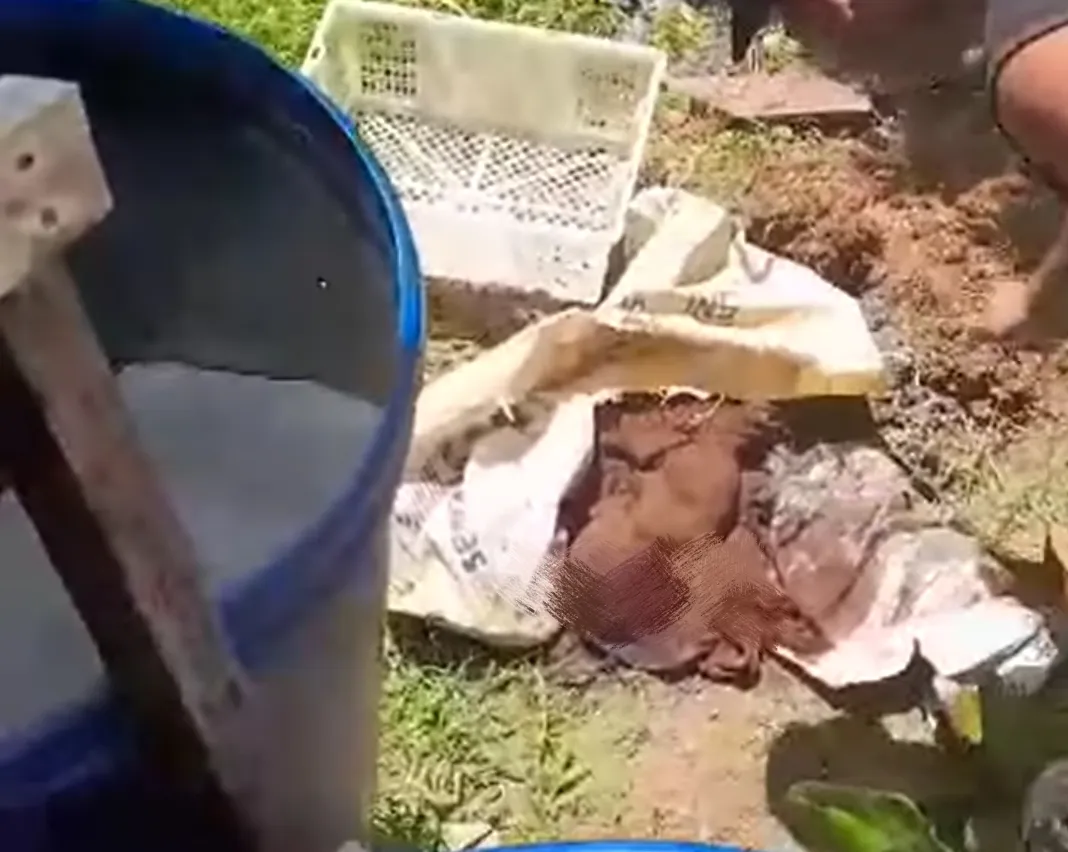 Viral Di Medsos Penemuan Bayi Hebohkan Warga Seponti, Polres Kayong Utara Berhasil Amankan Terduga Pelaku