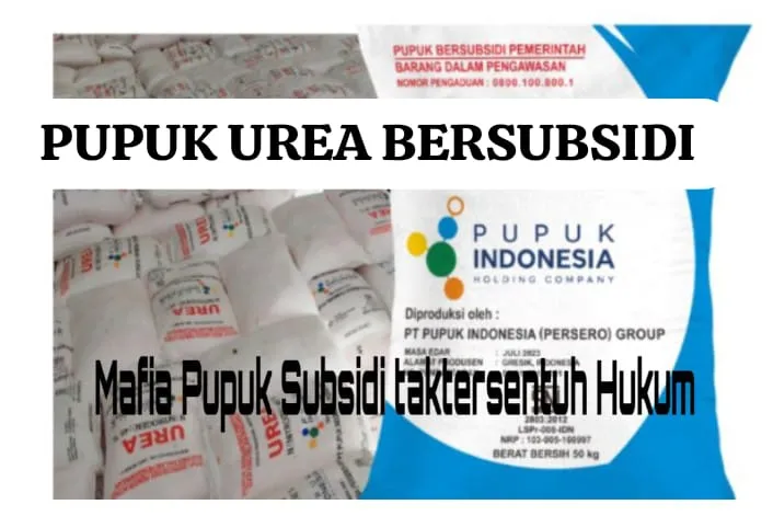 Sungguh Ironis Negeri ini Kios Pupuk Subsidi Ketua Gapoktan Mengambil Keuntungan Diatas Penderitaan Petani
