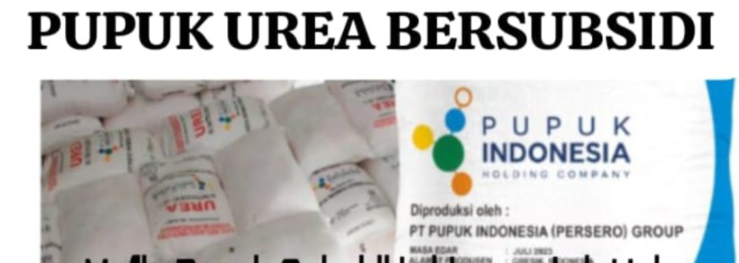 Sungguh Ironis Kios Pupuk Subsidi Ketua Gapoktan Inisial (K) Mengambil Keuntungan Diatas Penderitaan Petani