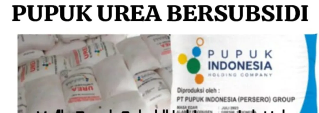 Sungguh Ironis Kios Pupuk Subsidi Ketua Gapoktan Inisial (K) Mengambil Keuntungan Diatas Penderitaan Petani