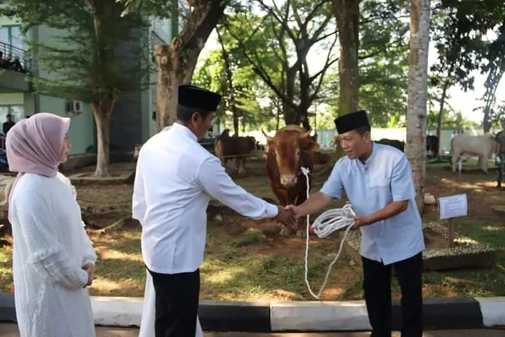 Peringati Hari Raya Idul Adha 1445 H/2024 M, Pangdam XII/Tpr Serahkan Puluhan Hewan Qurban