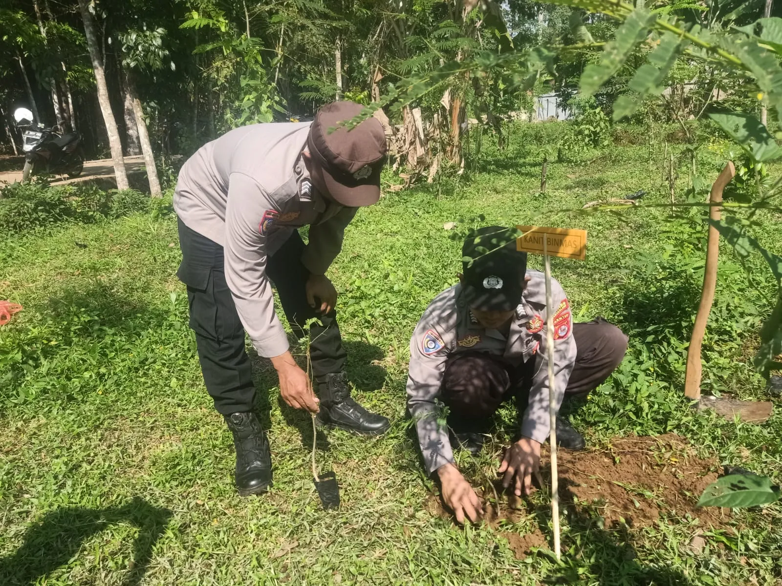 Dalam Rangka Peringatan HUT Bhayangkara ke-78 Tahun 2024 Polsek Cimanggu, Gelar Penanaman Pohon