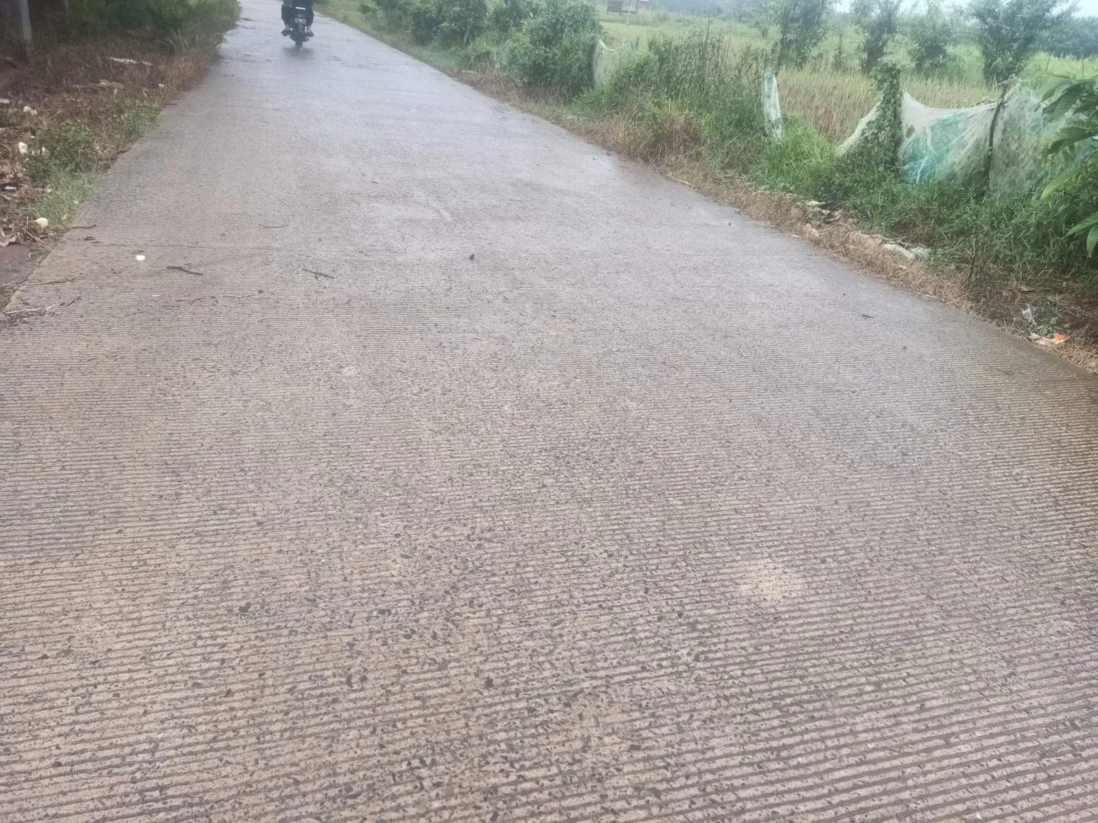 Bupati Pandeglang Dapat Ucapan Terima Kasih dari Warga Desa Cijaralang