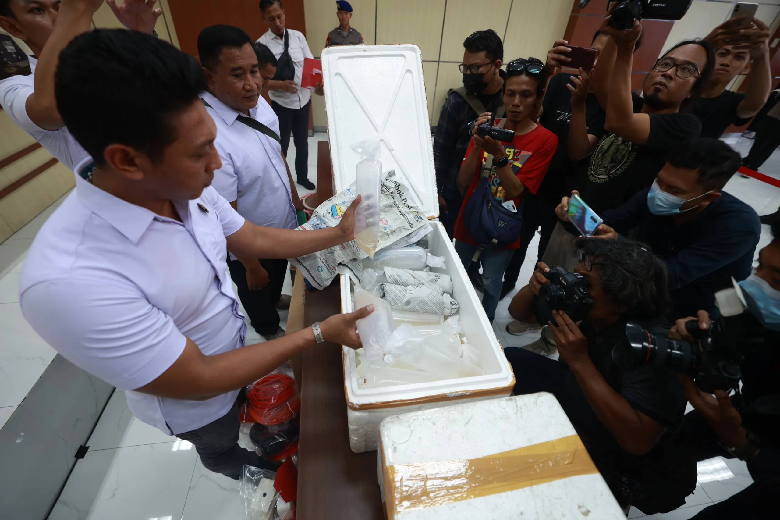 Jual Beli Benih Lobster Illegal di Banyuwangi, Dua Tersangka Diamankan, Ditpolairud Polda Jatim