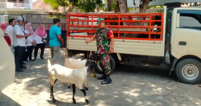 Bersama Banbinsa, Danramil 0822/01 Bondowoso Dampingi Serah Terima Bantuan Ternak Kambing di Kademangan