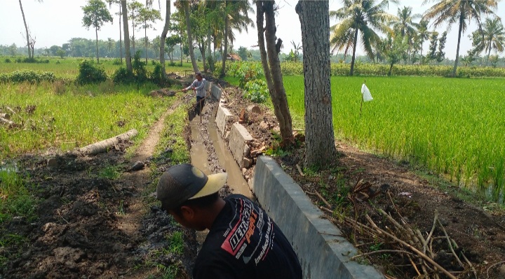 Legalitas Pembangunan Program P3TGAI Desa Dawuhan Patut di Pertanyakan