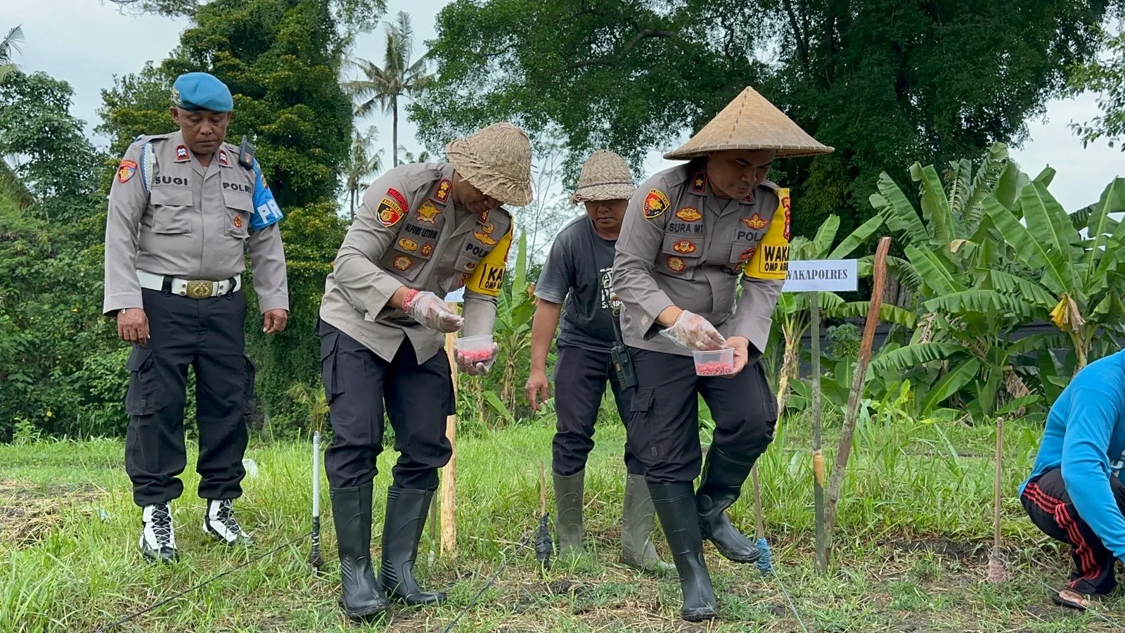 Polres Klungkung Tanam Jagung Dukung Ketahanan Pangan