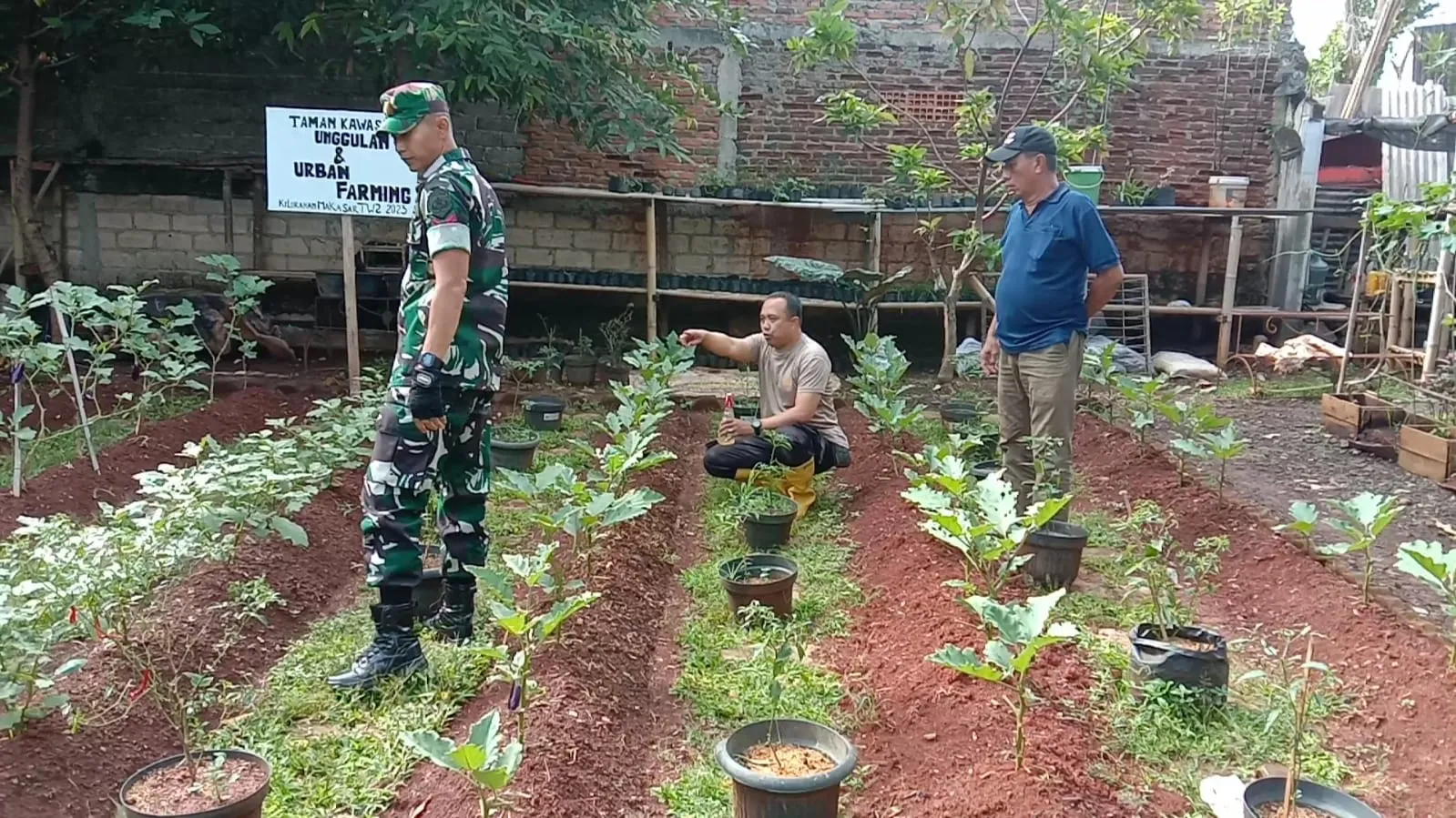 Bhabinkamtibmas lakukan Pembinaan kelompok Tani Pada kegiatan Ketahanan Pangan.