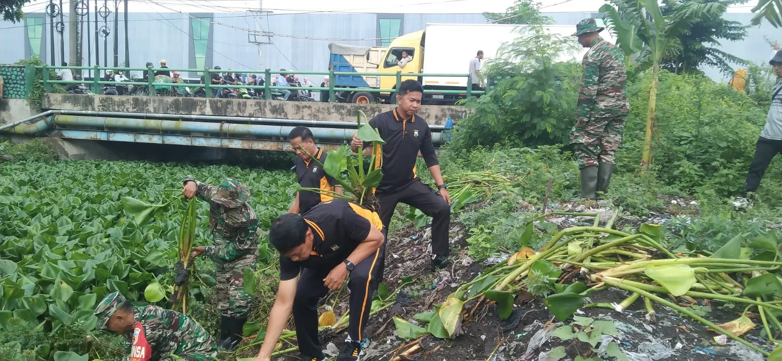 Cegah Banjir Polisi Bersama TNI Bersihkan Sampah dan Enceng Gondok di Sungai Gebang Sidoarjo