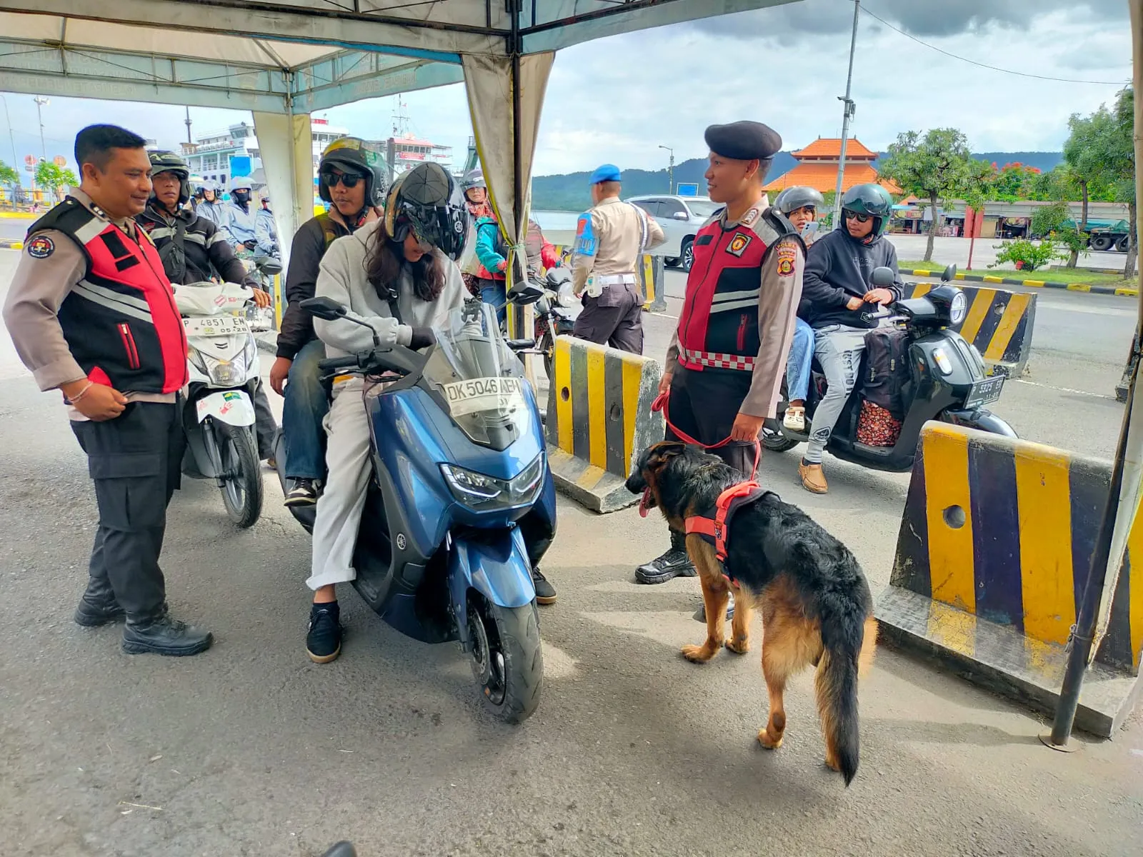 Team K9 Polda Bali Bantu Satgas Preventif Pamobvit Giat Pemeriksaan di Pintu Masuk Bali