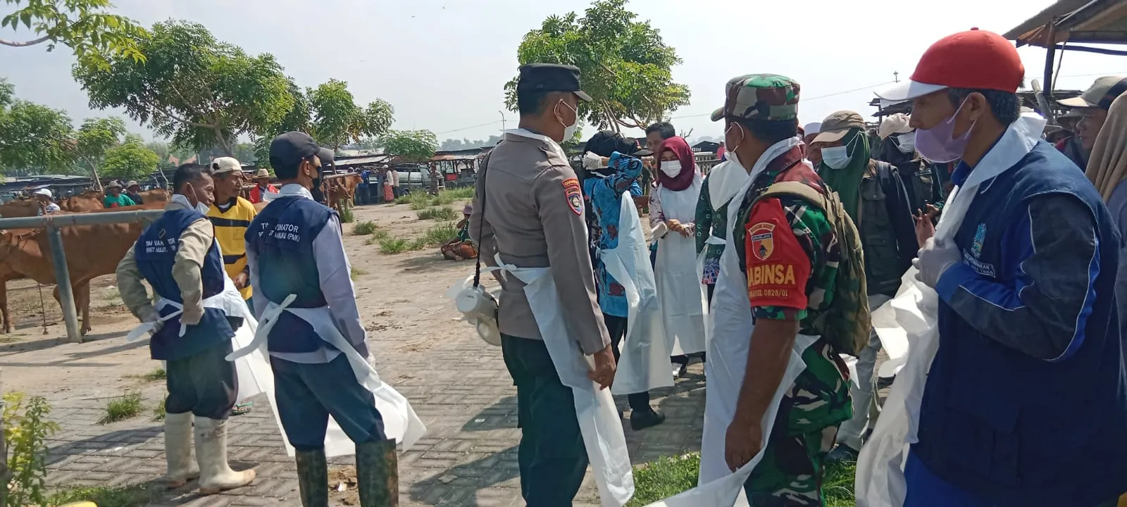 Kepolisian Polres Sampang Mendukung Penuh Pemkab Sampang Atasi Penyakit Mulut Dan Kuku Hewan Ternak