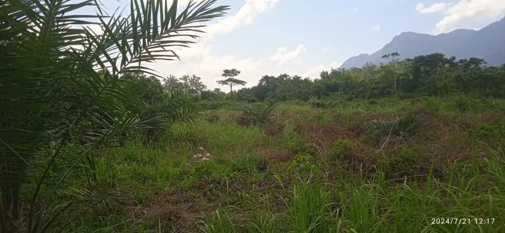 Kelompok Tani HARAPAN BARU,Desak APH Dan Dinas Terkait proses Lahan Tani : Alih fungsi