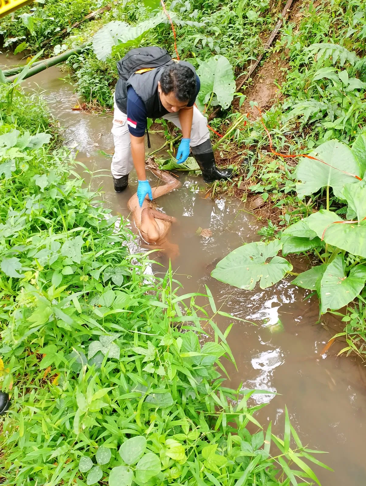 Diduga Depresi Perempuan Tanpa Busana Ditemukan Tewas di Selokan Sawah