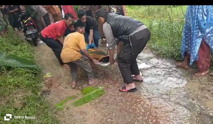 Video Viral Mayat Laki-Laki Tergeletak Dipinggir Jl. Kampung Melkok Timur Bapelle Robatal, Kapolres Sampang Klarifikasi