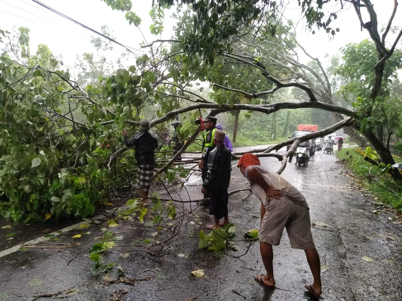 Evakuasi Pohon Tumbang Di Jalan Raya Desa Jelgung, Kapolsek Bersama Warga Robatal Gotong Royong