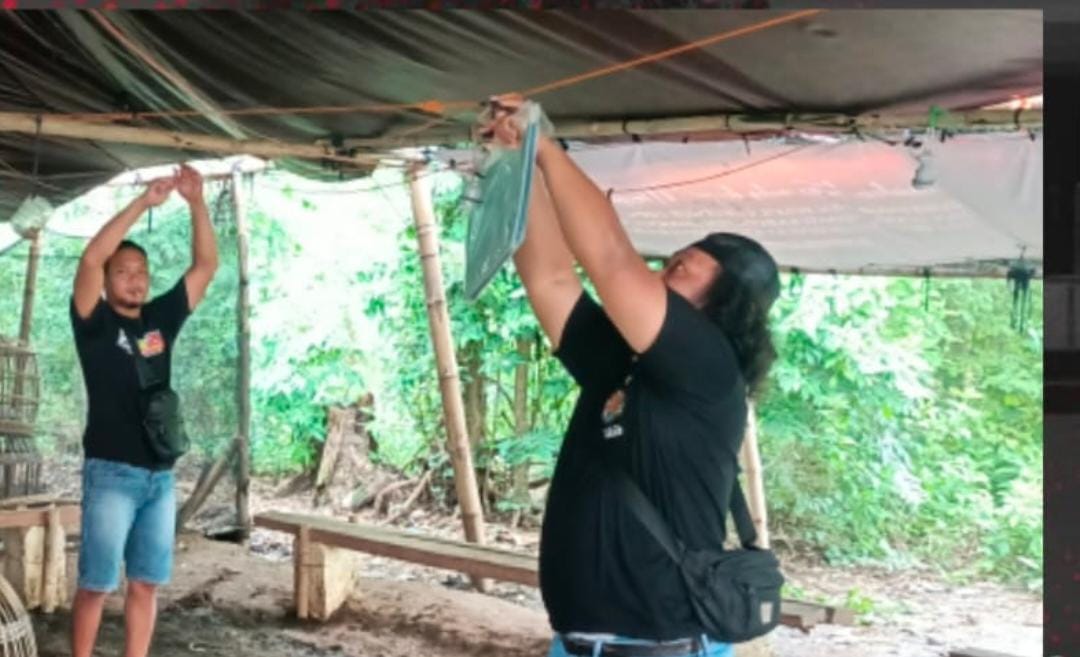 Polres Nganjuk Tindaklanjuti Laporan Sabung Ayam di Sugihwaras