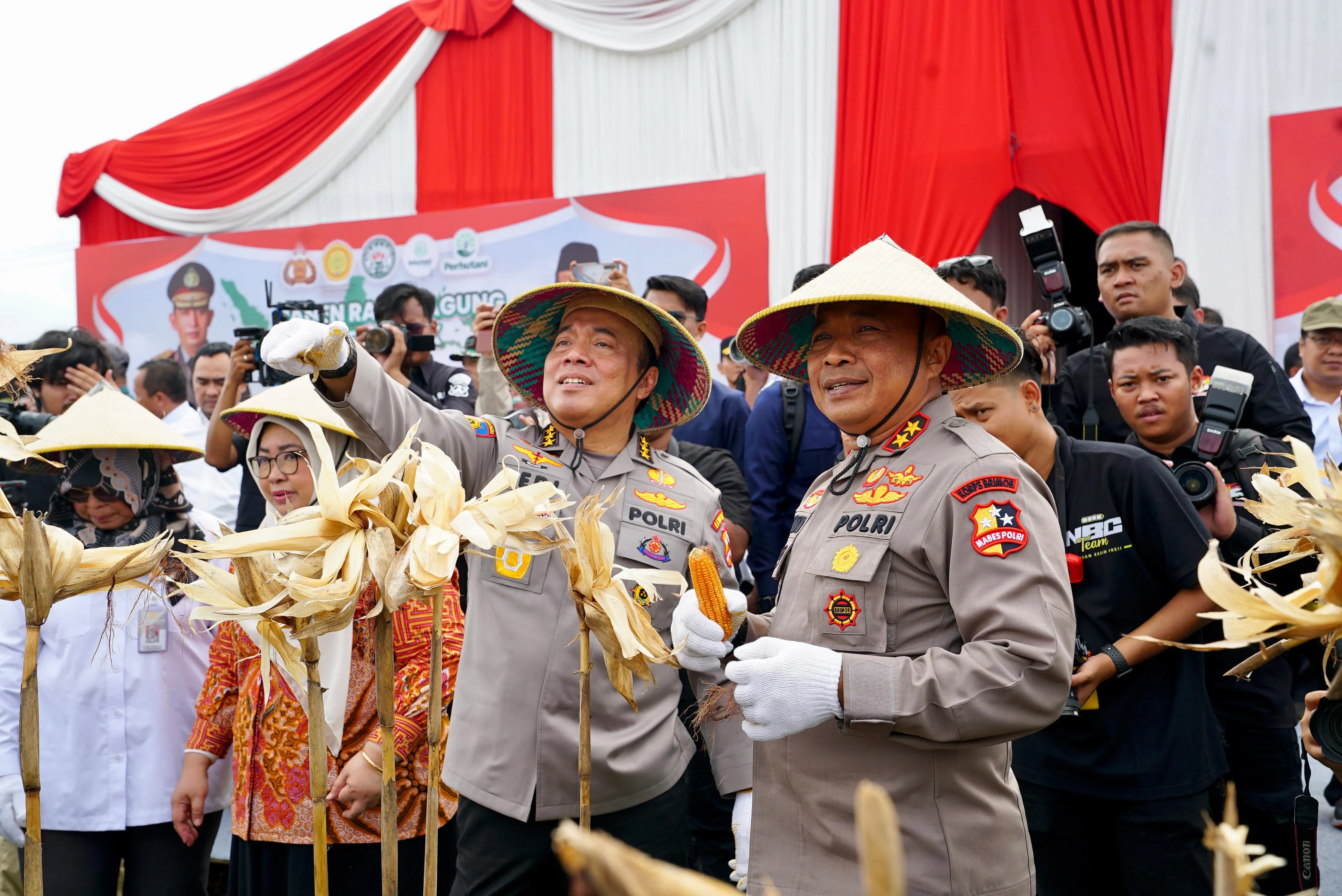 Irwasum Polri Pimpin Panen Jagung Serentak di Madiun,Wujudkan Astacita