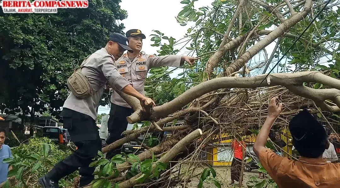 Pospam Ketupat Semeru 2025 Long Malang Evakuasi Pohon Tumbang di Jalan Raya Desa Bire Timur Sokobanah