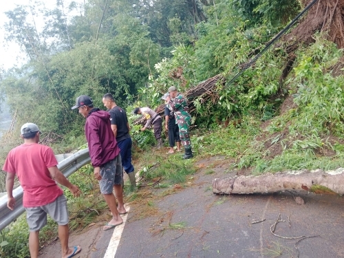 Polisi Bersama TNI dan Warga Bersihkan Longsor Jalur Wisata Telaga Ngebel di Ponorogo Kembali Normal
