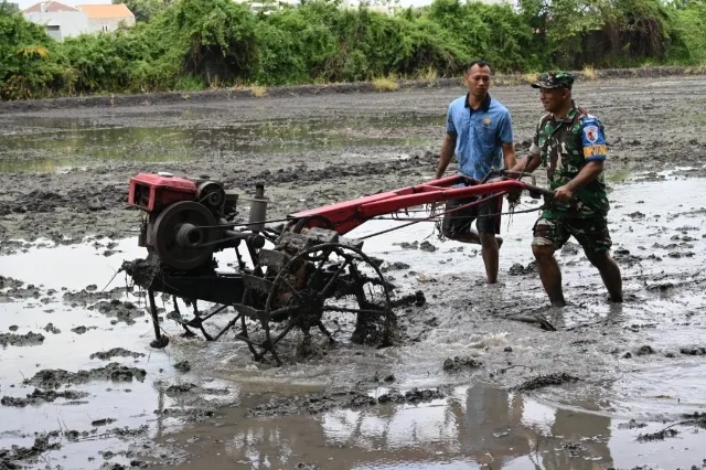 Lanud Muljono Kelola Lahan Ketahanan Pangan, Dukung Program Asta Cita Presiden RI