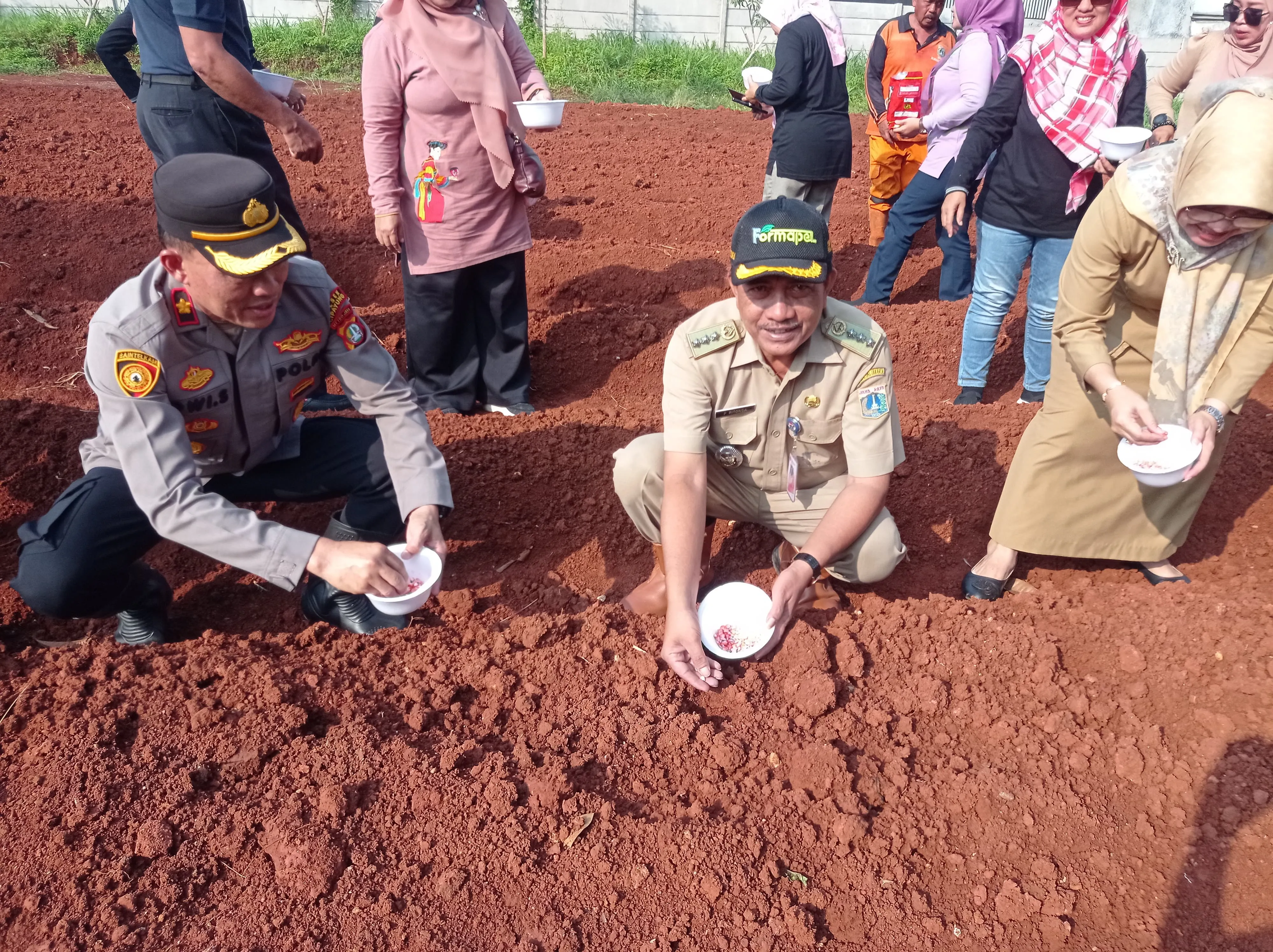 Dukung Ketahanan Pangan, Polsek Cipayung Tanam Bibit Jagung di Lahan 3.000 Meter Persegi.