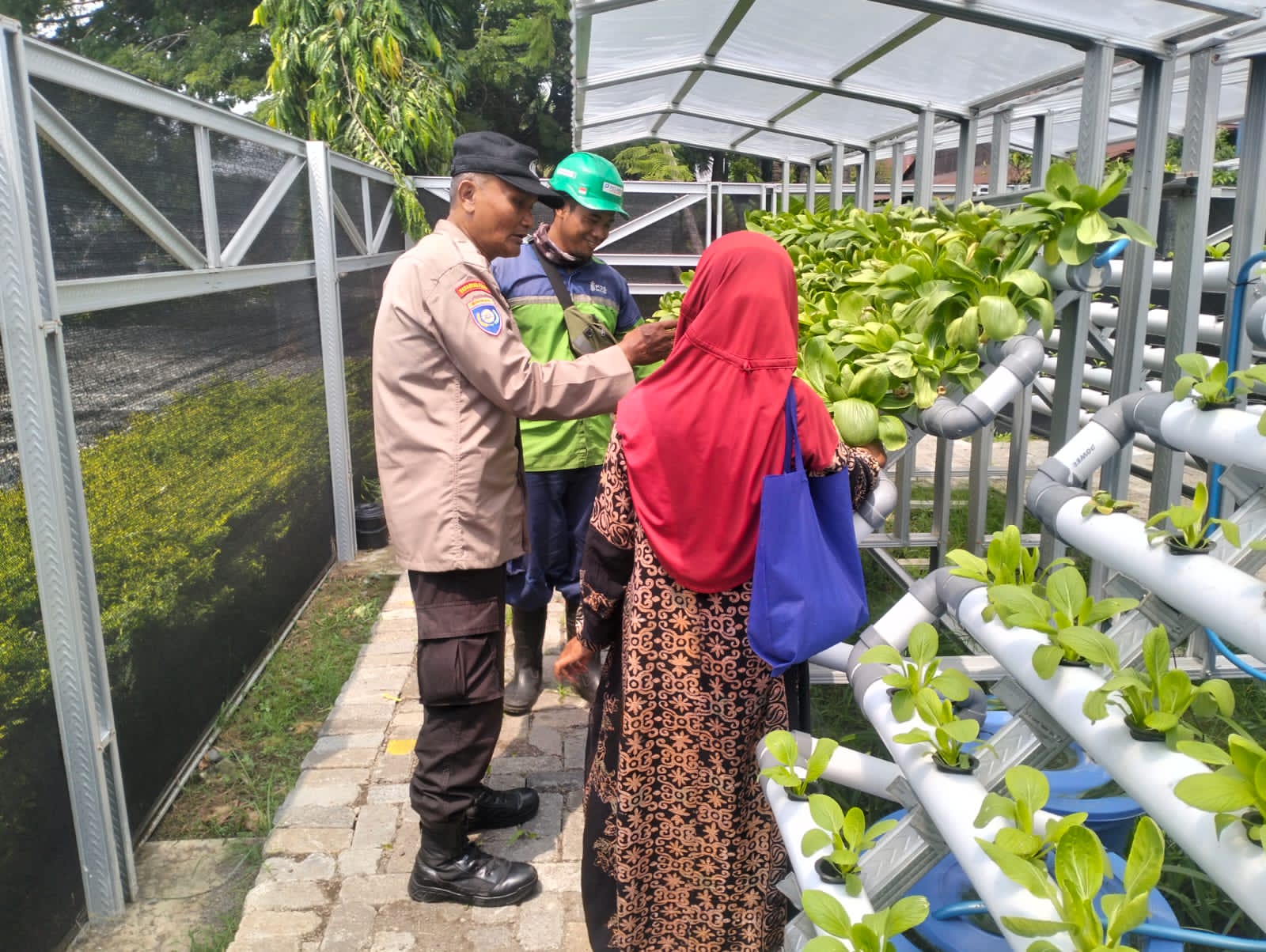 Dukung Ketahanam Pangan Bhabinkamtibmas Tanjung Perak Dampingi Warga Rawat Tanaman Hidroponik