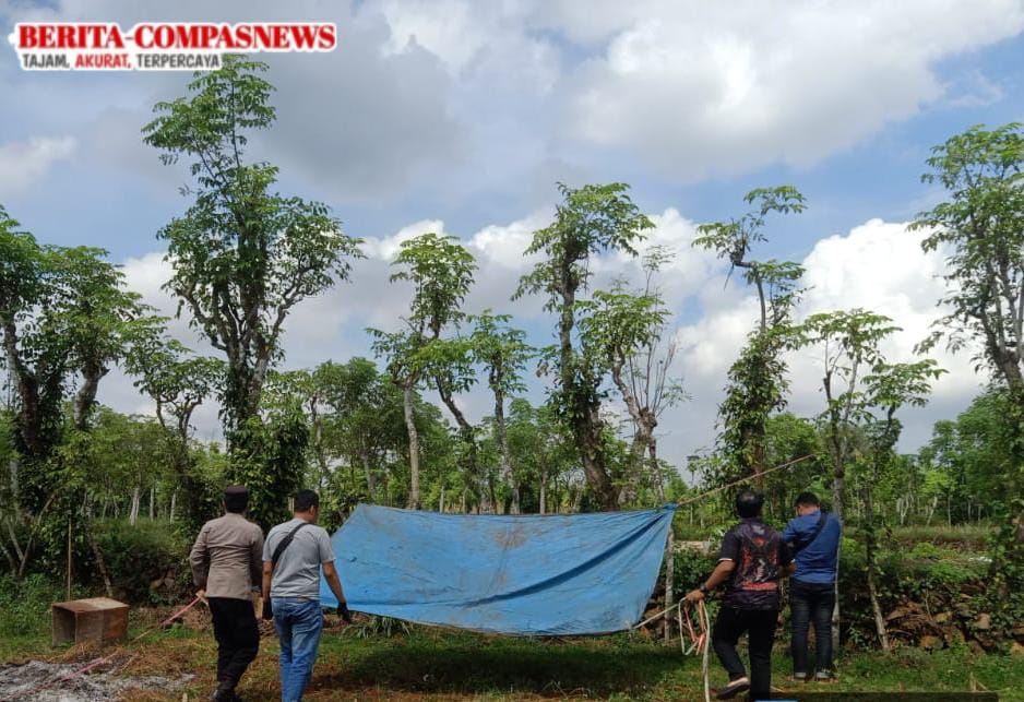 Polres Sampang Berantas Judi Sabung Ayam di Sokobanah, Warga Diminta Melaporkan