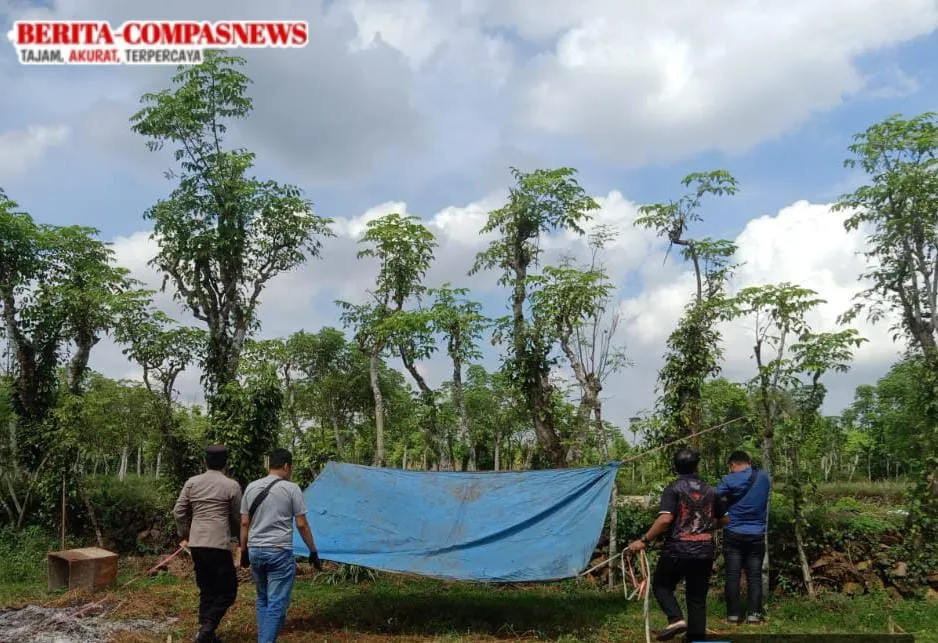 Polres Sampang Berantas Judi Sabung Ayam di Sokobanah, Warga Diminta Melaporkan
