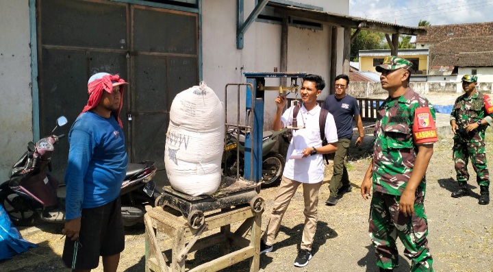 Peran Aktif Babinsa Kodim 0822/12 Sukosari Kawal Panen Raya 8 Ton Padi Siap Disalurkan ke Bulog