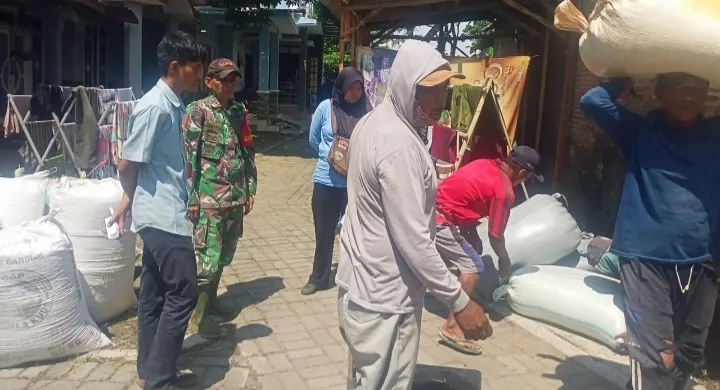 Babinsa Tenggarang dan Bulog Bersinergi Amankan Ketahanan Pangan di Kab Bondowoso