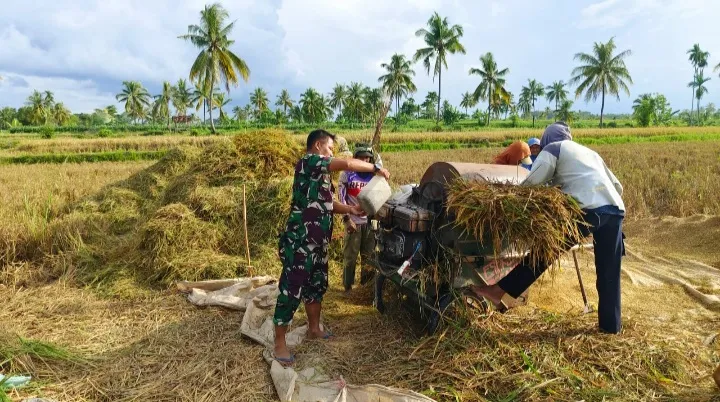 Perkuat Kolaborasi Lintas Sektor, Babinsa Kodim 0822/11 Tapen Aktif Kawal Bulog Serap Gabah Petani