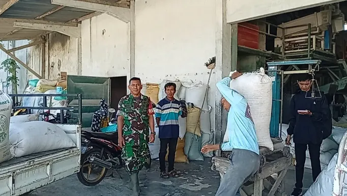 Babinsa Sumber Dumpyong Dampingi Bulog Serap Gabah Dari Petani, Bukti Nyata TNI Selalu Bersama Masyarakat