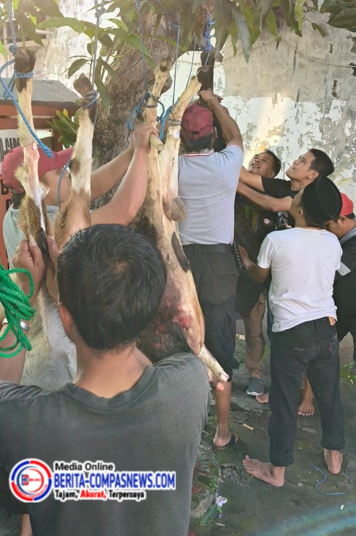 Gabungan 9 Media online Laksanakan Penyembelihan Hewan Kurban Berupa Tiga Ekor Kambing di Halaman Kantor Simolawang ll Barat No 64