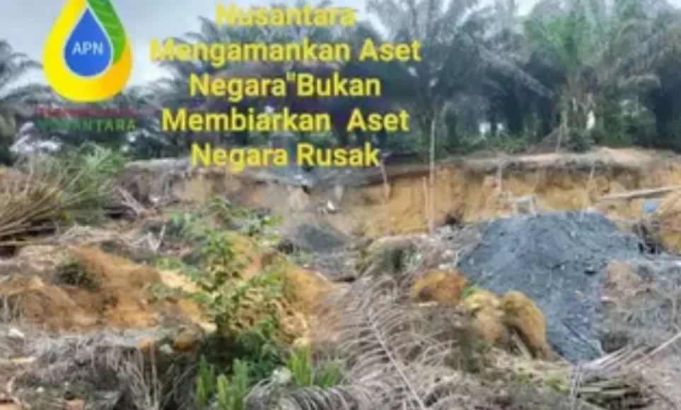 PT APN Agrinas Palma Nusantara Diduga Biarkan PETI Beroperasi:Kinerja Penegak Hukum Dipertanyakan