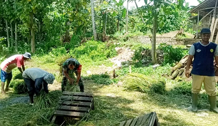 Babinsa Pekauman Melaksanakan Giat Pendampingan Hanpangan di Wilayah Binaan