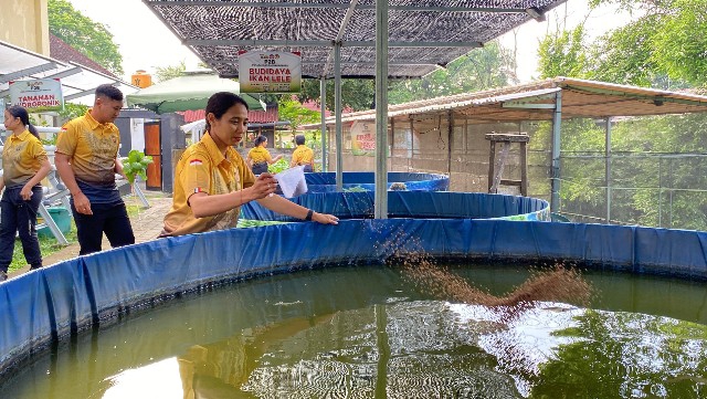 Kapolres Jembrana Panen Telur dan Sayuran di Kebun P2B Polres Jembrana