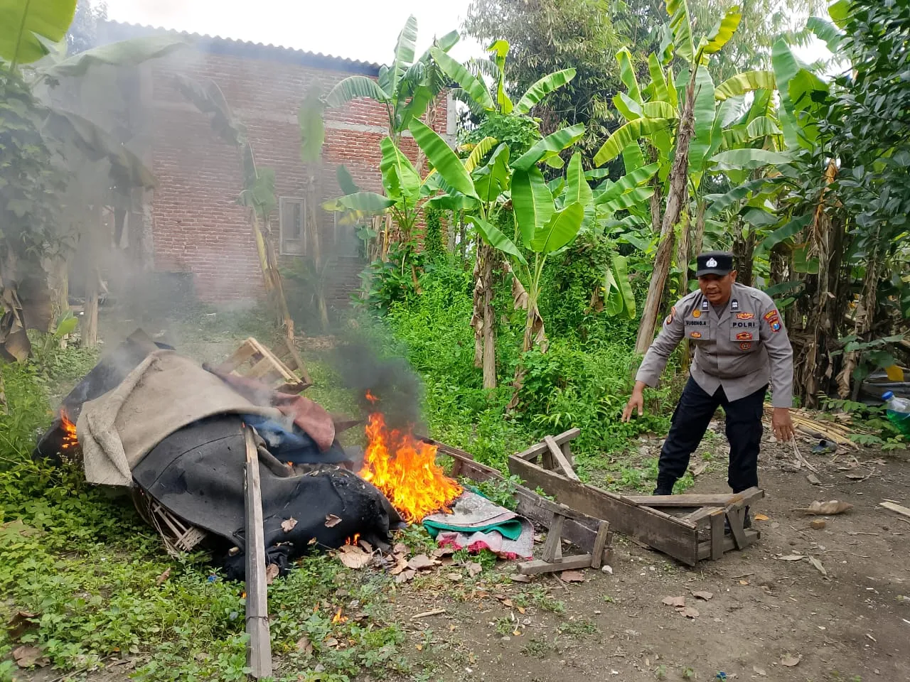 Respon Cepat Pengaduan Masyarakat Polisi Bongkar Arena Sabung Ayam di Sidoarjo