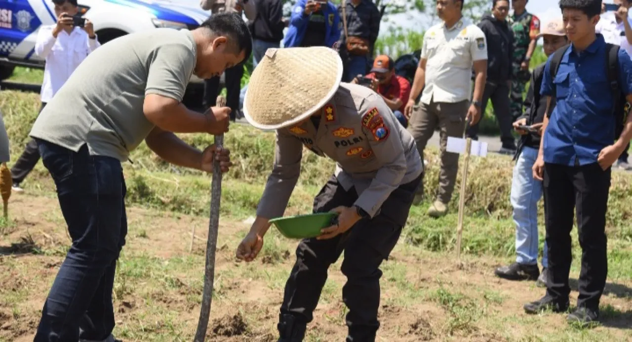 Dukung Ketahanan Pangan, Polres Bondowoso Bersinergi dengan Pemkab Tanam Jagung 8 Hektar