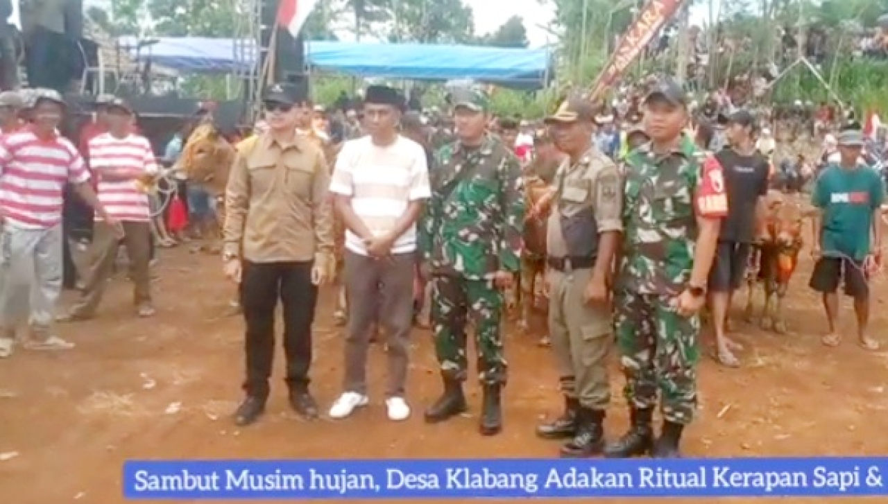 Personel Koramil 03 Tegalampel Amankan Acara Ritual Kerapan Sapi di Desa Klabang