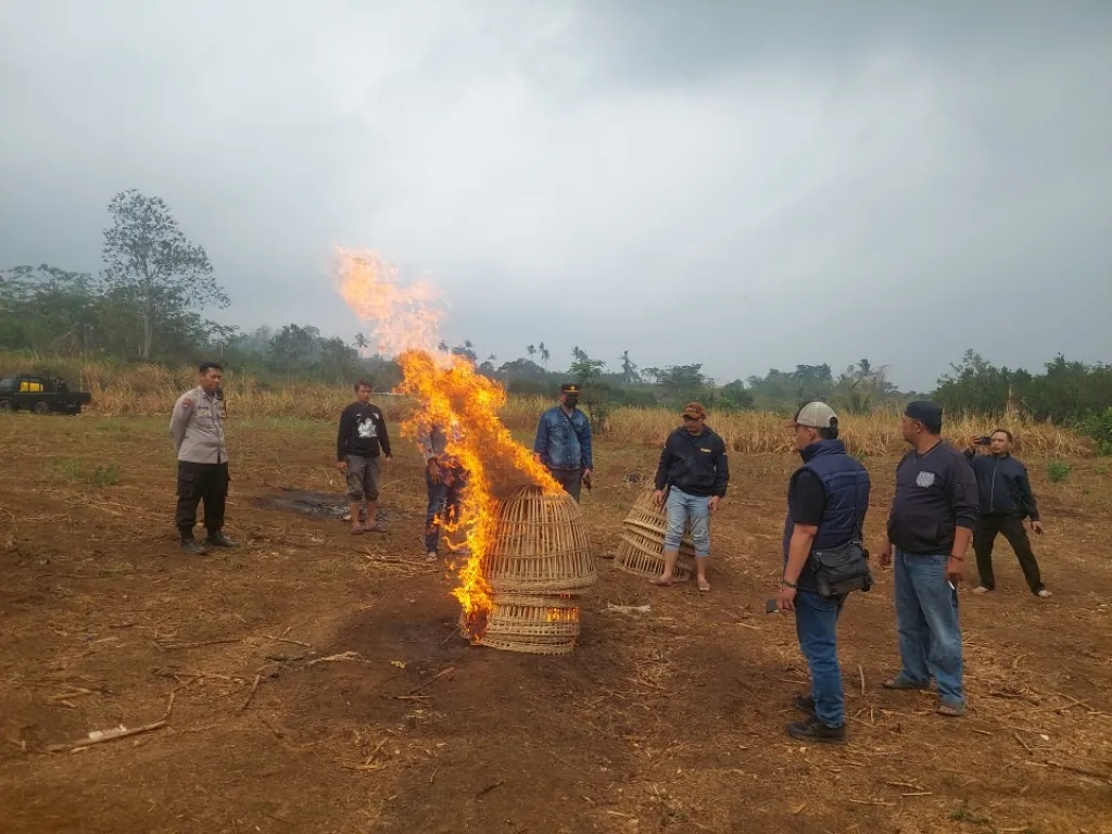 Polres Malang Musnahkan Sarana Diduga Arena Sabung Ayam di Karangploso