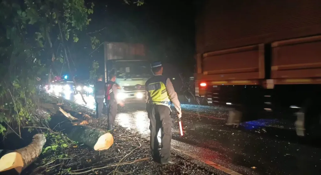Respons Cepat Polsek Gilimanuk Bersama TNI, Pohon Tumbang di Jalur Denpasar–Gilimanuk Berhasil Dievakuasi